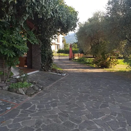 Carla *